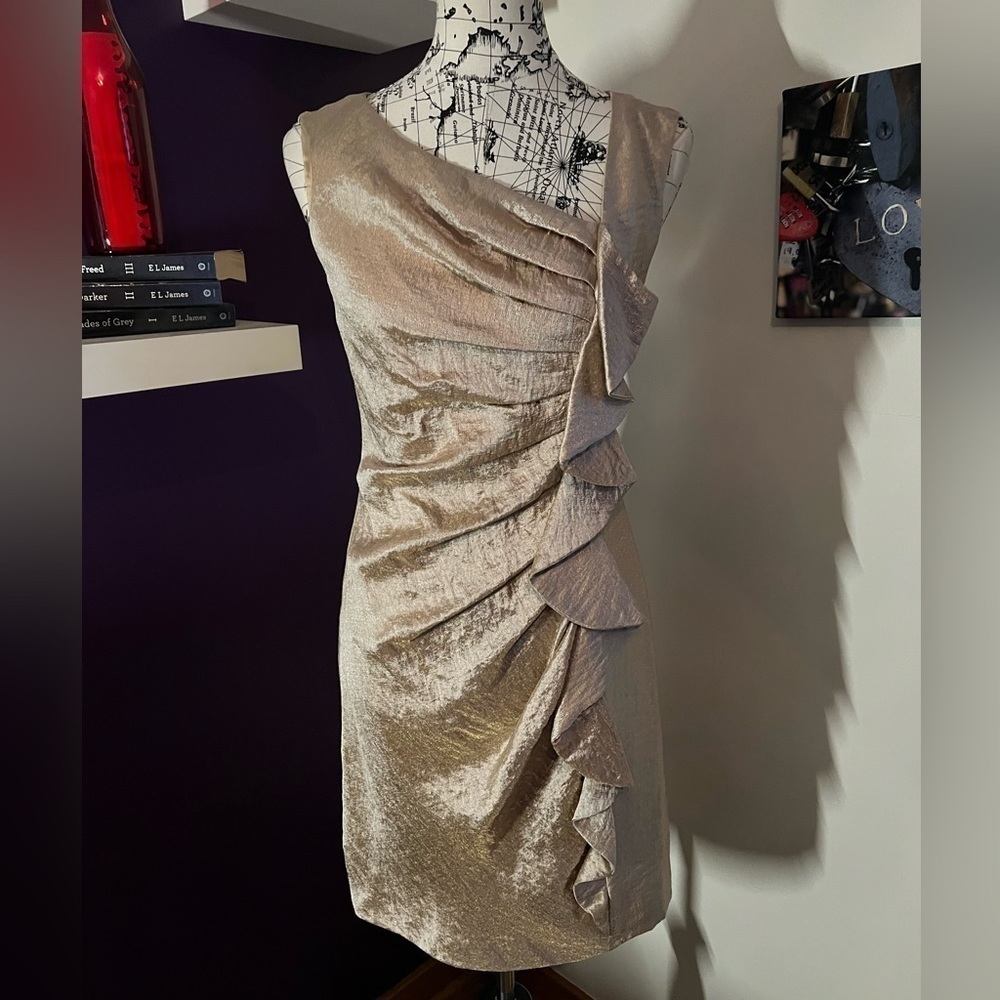 Suzi Chin for Maggie Boutique Dress - Picture 1 of 9